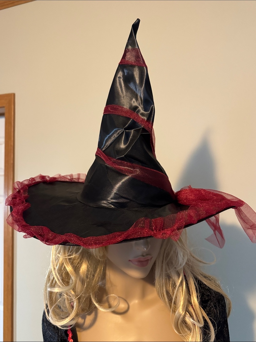 Women's Black and Burgundy Witch Costume Dress with Matching Hat - Picture 5 of 7